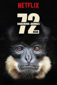72 Dangerous Animals (2018) 72 สัตว์อันตราย EP.1-12 ซับไทย ซีรีย์สารคดี