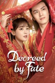 Decreed by Fate (2022) ท่านหญิง อย่าชิงหย่ากับข้า EP.1-16 พากย์ไทย