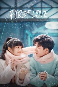 First Love (2022) วุ่นนัก โจทย์รักแรก EP.1-24 ซับไทย