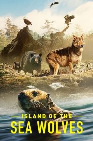 Island of the Sea Wolves (2022) เกาะหมาป่าทะเล EP.1-3 ซับไทย ซีรีย์สารคดี