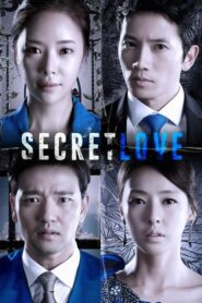 Secret Love ซ่อนรัก ซ่อนแค้น ตอนที่ 1-16 พากย์ไทย