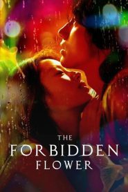 The Forbidden Flower (2023) บุปผาแห่งรัก EP.1-24 ซับไทย
