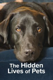 The Hidden Lives of Pets (2022) ชีวิตลับสัตว์เลี้ยง EP.1-4 ซับไทย